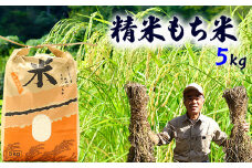 精米 もち米【高知県いの町産 あらきもち】５kg