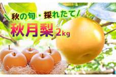 【2025年収穫】森本果樹園の秋月梨 2㎏