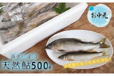★お中元★　フレッシュマートキシモトさんの天然鮎（冷凍）500g