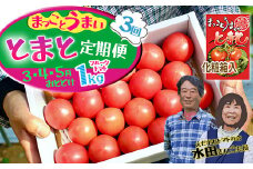 【数量限定】水田さんのフルーツトマト１㎏定期便（全3回 / 3・4・5月お届け）
