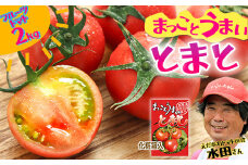 まっことうまい！水田さんのフルーツトマト【約２kg / 化粧箱入】