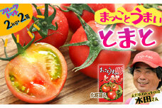 まっことうまい！水田さんのフルーツトマト【約２kg×2箱 / 化粧箱入】