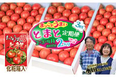 【数量限定】水田さんのフルーツトマト２㎏定期便（全3回 / 2・3・4月お届け / 化粧箱入）