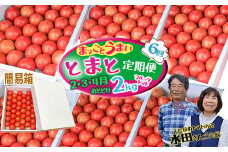 【数量限定】まっことうまい！水田さんのフルーツトマト２㎏定期便（全６回 / 簡易箱入）