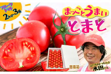 まっことうまい！水田さんのフルーツトマト【約２kg×3箱 / 簡易箱入】