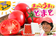 まっことうまい！水田さんのフルーツトマト【約２kg×2箱 / 簡易箱入】