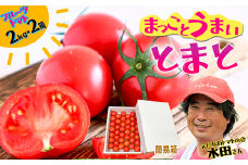 まっことうまい！水田さんのフルーツトマト【約２kg×2箱 / 簡易箱入】