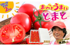 まっことうまい！水田さんのフルーツトマト【約２kg / 簡易箱入】