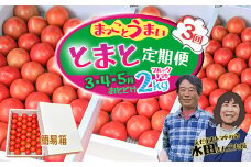 【数量限定】水田さんのフルーツトマト２㎏定期便（全3回 / 3・4・5月お届け / 簡易箱入）