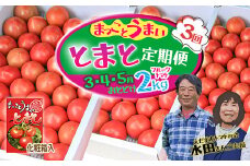 【数量限定】水田さんのフルーツトマト２㎏定期便（全3回 / 3・4・5月お届け / 化粧箱入）