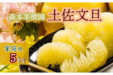 土佐文旦家庭用5ｋｇ（森本果樹園）
