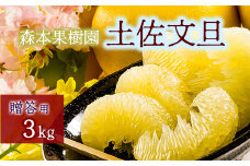土佐文旦贈答用約3ｋｇ（森本果樹園）