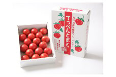 0211101 てっぺんとまと特上品【令和7年10月中旬で受付終了】
