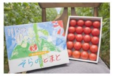 0112701 そらのとまと１kg