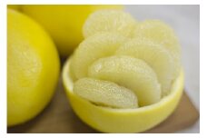 0121601 早春の味わい　つやつやに輝く土佐文旦（令和8年３月下旬頃より発送開始）