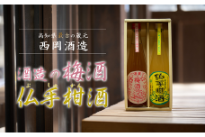 梅酒・仏手柑酒2本セット 500ml 梅酒 梅 ぶしゅかん ロック 水割り 宅飲み 家飲み 家庭用