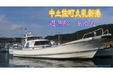 遊漁船 あゆ丸　船釣り体験券【１名様】（エサ・氷付き） 高知 久礼 釣り 体験 魚 エサ 氷 