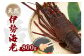 産地直送！＜生＞伊勢海老（レシピ付き）800g