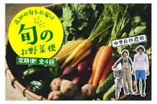 【定期便全4回】高知の旬をお届け「中里自然農園・旬のお野菜便」
