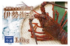 伊勢海老 ( 冷凍 ) お味噌汁用 約 1.6kg エビ えび 家庭用 訳あり 加熱用