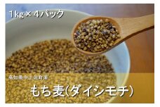 もち麦 ( ダイシモチ ) 1kg × 4ﾊﾟｯｸ 小分け 真空パック 国産 高知 麦ごはん ぷちぷち 健康 栄養 ダイエット