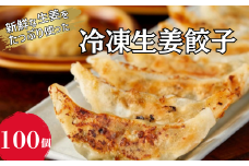 冷凍生姜餃子 100個入