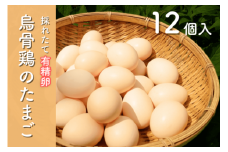 烏骨鶏のたまご 有精卵 １２個入り たまご タマゴ 烏骨鶏 卵 玉子 卵かけご飯 玉子焼 ゆで卵