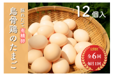 【 定期便 ６回 コース 】 烏骨鶏のたまご 有精卵 １２個入り たまご タマゴ 烏骨鶏 卵 玉子 卵かけご飯 玉子焼 ゆで卵