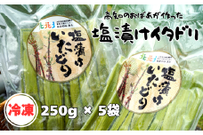 冷凍塩漬けイタドリ 250g × 5袋 セット 高知県産 いたどり イタドリ