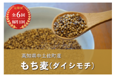 【 定期便 ６回 コース 】もち麦 ( ダイシモチ ) 1kg × 2ﾊﾟｯｸ 小分け 真空パック 国産 高知 麦ごはん ぷちぷち 健康 栄養 ダイエット