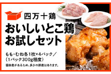 四万十鶏 おいしいとこ鶏 お試しセット ( もも肉 300g × 4パック むね肉 300g × 4パック ) 計2400g 2.4kg 鶏肉 とり肉 小分け 国産 冷凍