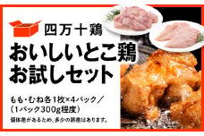 四万十鶏 おいしいとこ鶏 お試しセット ( もも肉 300g × 4パック むね肉 300g × 4パック ) 計2400g 2.4kg 鶏肉 とり肉 小分け 国産 冷凍