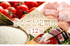 【全12回お届け】 なかとさ まるごと定期便