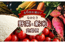 【全6回お届け】 なかとさ 野菜と新米 定期便