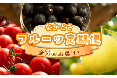 【全3回お届け】 なかとさ フルーツ定期便