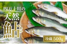 四万十川上流 の 天然 釣り鮎 500g 【 冷蔵 4～12尾 】 鮎 あゆ アユ 川魚 高知県 四万十