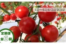 【定期便全6回 1月～6月毎月お届け】四万十川源流域で育まれた 絶品 フルーツミニトマト 1kg 