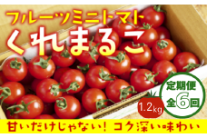 【定期便全6回 1月～6月毎月お届け】 フルーツミニトマト 『 くれまるこ 』 1.2kg