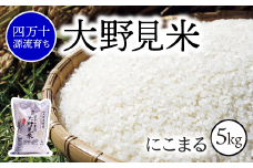 【 四万十源流 育ち 】 特別栽培 大野見米 にこまる 5kg ( 白米 ) ご飯 米 お米 にこまる 四万十