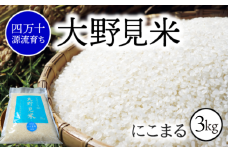 【 四万十源流 育ち 】特別栽培 大野見米 にこまる 3kg ( 白米 ) ご飯 米 お米 にこまる 四万十