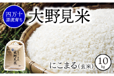 【 四万十源流 育ち 】特別栽培 大野見米 にこまる 10kg ( 玄米 ) ご飯 米 お米 にこまる 四万十