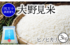 【 四万十源流 育ち 】特別栽培 大野見米 ヒノヒカリ 3kg ( 白米 ) ご飯 米 お米 ﾋﾉﾋｶﾘ 四万十