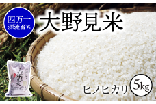 【 四万十源流 育ち 】特別栽培 大野見米 ヒノヒカリ 5kg ( 白米 ) ご飯 米 お米 ﾋﾉﾋｶﾘ 四万十