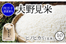 【 四万十源流 育ち 】特別栽培 大野見米 ヒノヒカリ 10kg ( 玄米 ) ご飯 米 お米 ﾋﾉﾋｶﾘ 四万十