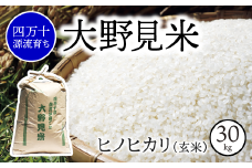 【 四万十源流 育ち 】特別栽培 大野見米 ヒノヒカリ 30kg ( 玄米 ) ご飯 米 お米 ﾋﾉﾋｶﾘ 四万十