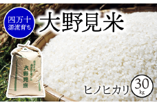 【 四万十源流 育ち 】特別栽培 大野見米 ヒノヒカリ 30kg ( 白米 ) ご飯 米 お米 ﾋﾉﾋｶﾘ 四万十