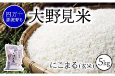 【 四万十源流 育ち 】 特別栽培 大野見米 にこまる 5kg ( 玄米 ) ご飯 米 お米 にこまる 四万十