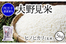 【 四万十源流 育ち 】特別栽培 大野見米 ヒノヒカリ 5kg ( 白米 ) ご飯 米 お米 ﾋﾉﾋｶﾘ 四万十