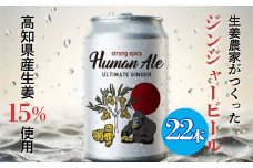 ジンジャービール 22本セット