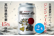 ジンジャービール 2本セット